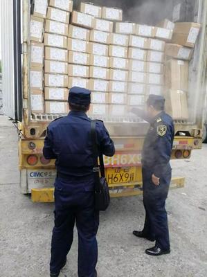 中国对俄出口冷冻鸡胸肉经绥芬河口岸首发，区域经贸合作迈上新台阶