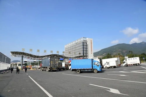 累计进出区货值超1884亿元 清溪保税物流中心迎来封关运行四周年，技术进出口成亮点